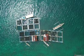 Meningkatkan PNBP sektor perikanan