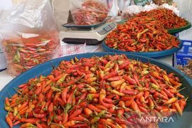 NTP Kaltim  capai 137,86 gambaran petani makmur