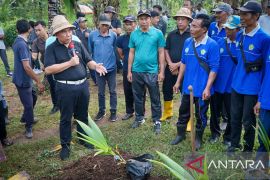Pemkab Jembrana fokus kakao dan kelapa jadi komoditi unggulan