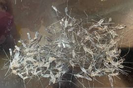 KKP berhasil gagalkan 22 kali penyelundupan benur di semester I 2024