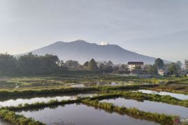 PVMBG laporkan penurunan aktivitas Gunung Marapi di Sumbar