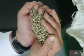 Lada Putih Muntok telah terregister dalam pasar Uni Eropa