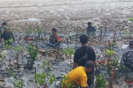 TNI tanam seribu mangrove di pesisir Pantai Kasemen Kota Serang