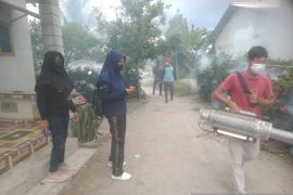 HAKLI Bangka ajak masyarakat tingkatkan kebersihan lingkungan cegah DBD