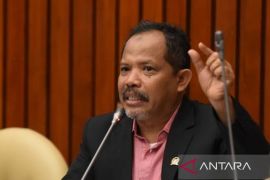 Anggota DPR RI sarankan pemerintah fokus subsidi pupuk daripada BLT