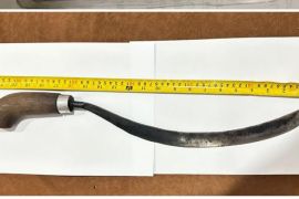 Perkara pohon pisang, pelaku bacok tetangga