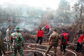 BMKG Balikpapan ingatkan musim kemarau  rawan kebakaran hutan