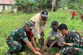 Yonif 122/TS tanam 150 bibit pohon kemiri di Keerom sambut HUT RI