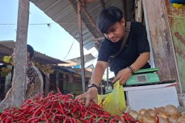 Gerakan tanam cabai serentak jadi solusi jaga harga