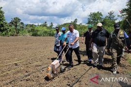 Pj Bupati Jayapura mulai gerakan menanam jagung Sentani Timur