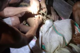 Empat orang meninggal dunia di Halmahera Selatan  akibat terjebak di lubang tambang emas ilegal