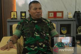 TNI maksimalkan peran teritorial di perbatasan RI