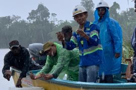 4.605 kura-kura moncong babi dilepas-liarkan di Hutan Adat Nayaro Mimika