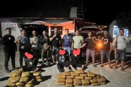 Polda Sumbar gagalkan penyelundupan 55 kilogram ganja