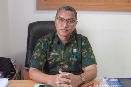 Harga kopra hitam di Kendari naik jadi Rp11.000 per kg