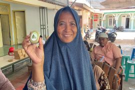 Peneliti Unej ciptakan sabun mandi berbahan dasar daun kelor