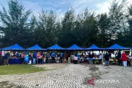 TNI AU gelar pasar murah di batas Natuna