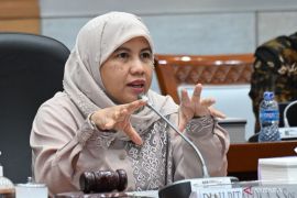 DPR harap ada strategi komprehensif dalam upaya maksimalkan perlindungan anak