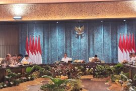 Capital relocation encourages economic equality outside Java: Jokowi