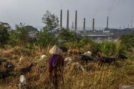 Tekan polusi udara, PLTU Suralaya Cilegon diungkap Luhut bakal ditutup