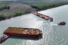 Jhonlin Grup kembali datangkan 264 Excavator untuk projects cetak sawah di Papua