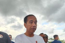 Jokowi sebut posisi Airlangga di kabinet tidak ada masalah