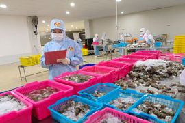 DKP Petakan Potensi Hilirasi Produk Perikanan