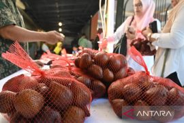 Ekspose produk pertanian dan pasar tani di Palu Page 3 Small