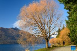 Angka Migrasi Bersih Selandia Baru Turun pada 2024