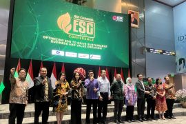 Kemenko Marves: Ekonomi terganggu jika RI tak lakukan transisi energi