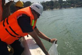 Jasa Tirta I tebar 160 ribu bibit ikan di tiga waduk