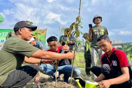 PT Midi tanam 17.000 bibit pohon kurangi emisi hingga atasi polusi