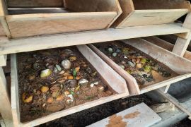 Pertamina Patra Niaga Sumbagsel bantu pengelolaan sampah organik di Kota Jambi