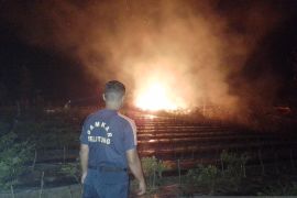 BPBD Belitung sebut tiap hari terima laporan kebakaran lahan