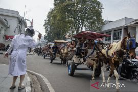 Karnaval delman kemerdekaan di Bandung