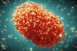 India sedang mengembangkan vaksin Mpox