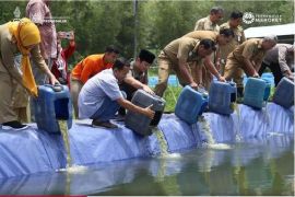 Produksi perikanan budi daya di Trenggalek capai 2.323,98 ton