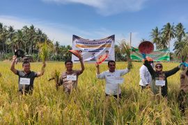 Pemprov Kaltara Mengapresiasi Keberhasilan Panen Raya di Perbatasan