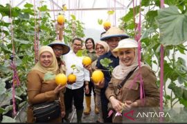 Pemprov Kaltim bantu pengembangan lahan kritis  jadi pertanian terpadu