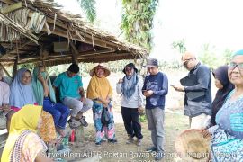 Dinas Pertanian Pessel survei lahan pertanian yang masuk usulan AUTP