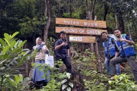 Lembaga Human Initiative survei hutan musik "sound of green" di Ambon
