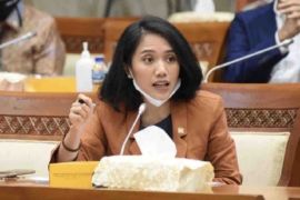 DPR: Prabowo cabut izin tambang bukti tak toleransi pelanggar