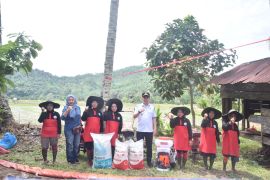 Pemkot Sawahlunto bantu pupuk dan benih untuk kelompok tani terdampak banjir
