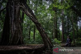 UNESCO tetapkan 16 geopark baru, total jadi 229 tersebar di 50 negara