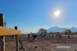 Kunjungan wisata TN Baluran meningkat sejak Kawah Ijen tutup sementara