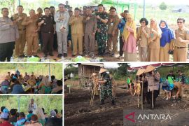 Pemkab Bangka Tengah kembangkan padi gogo di lahan rawa