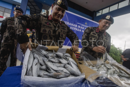 KKP bagikan ikan hasil pengawasan di Batam Page 1 Small