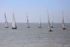 Lomba balap perahu layar tradisional di Surabaya