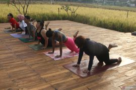 Pemanfaatan lahan sawah sebagai studio yoga