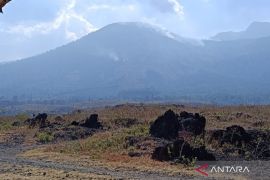 BPBD Garut: Kebakaran hutan di Gunung Guntur sudah padam